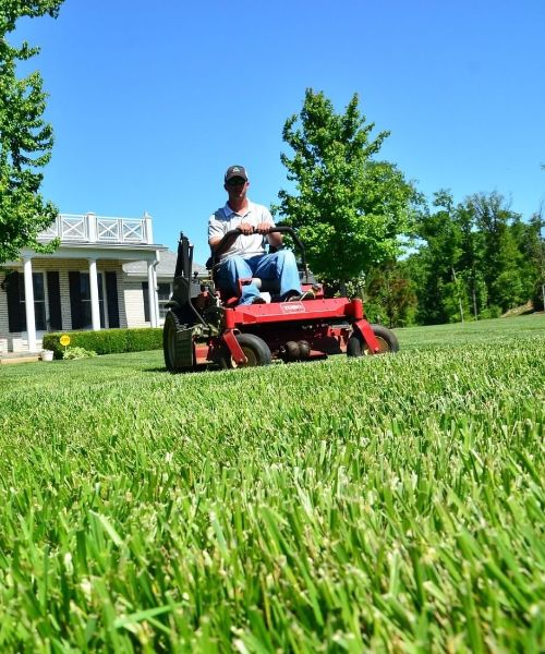 Lawn Care Service Maryland