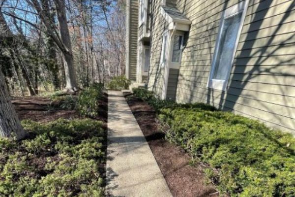 Landscaping Service Anne Arundel County 5
